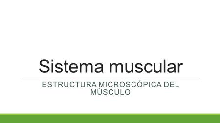 Estructura microscópica del músculo