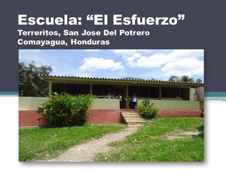 Escuela: “El Esfuerzo” Terreritos, San Jose Del Potrero Comayagua, Honduras.