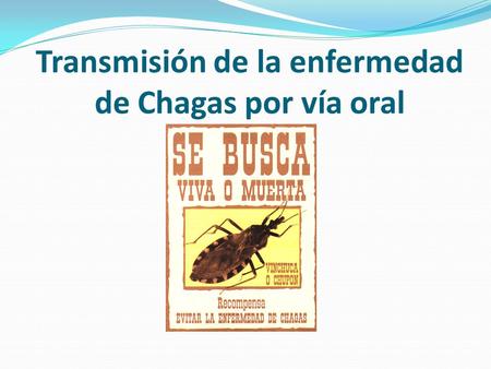 Transmisión de la enfermedad de Chagas por vía oral