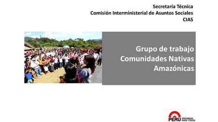 1 Secretaría Técnica Comisión Interministerial de Asuntos Sociales CIAS Grupo de trabajo Comunidades Nativas Amazónicas.