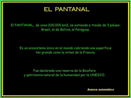 EL PANTANAL El PANTANAL, de unos 220.000 km2, se extiende a través de 3 países: Brasil, el de Bolivia, el Paraguay. Fue declarada una reserva de la Biosfera.