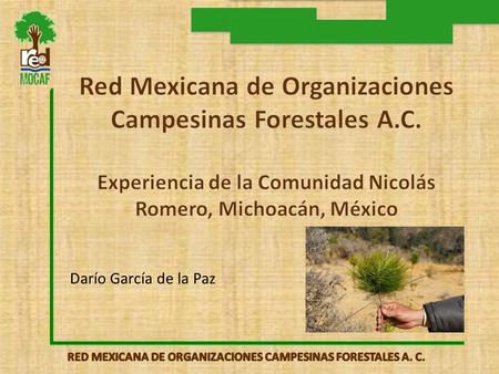 Darío García de la Paz. Contexto La Comunidad Indígena Nicolás Romero, se localiza en el Municipio de Zitácuaro. Michoacán en la región Oriente del Estado.