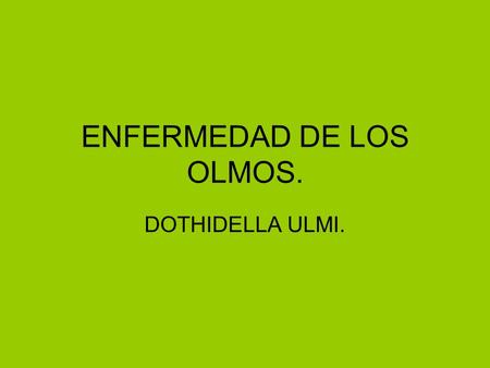 ENFERMEDAD DE LOS OLMOS.