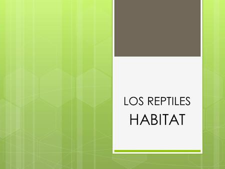 LOS REPTILES HABITAT.