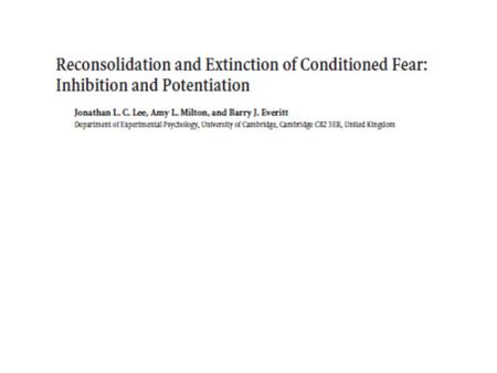 US Fear conditioning CSCR TonoDescarga Freezing El nucleo basolateral de la amigdala es el principal sitio de memoria para la asociacion entre un CS.