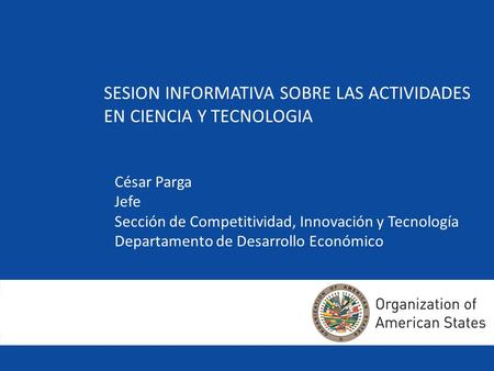 Competitiveness, Innovation and Technology Section Department of Economic and Social Development SESION INFORMATIVA SOBRE LAS ACTIVIDADES EN CIENCIA Y.