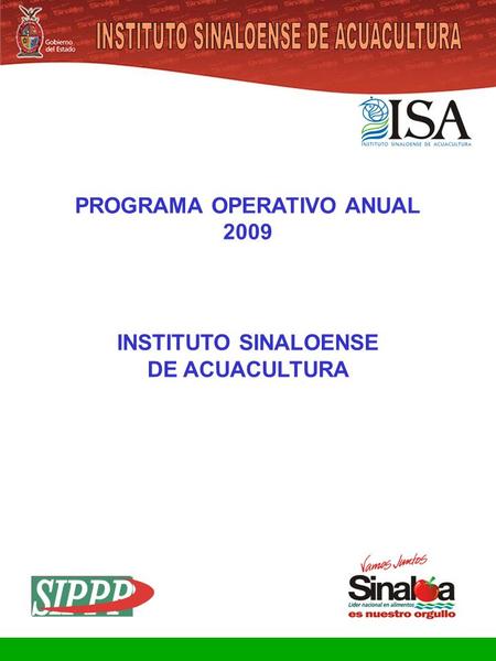 Sistema Integral de Planeación, Programación y Presupuestación Proceso para el Ejercicio Fiscal del año 2009 Gobierno del Estado PROGRAMA OPERATIVO ANUAL.