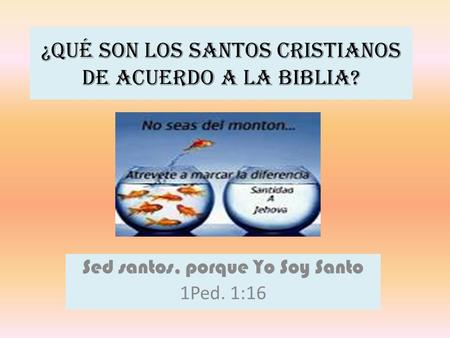 ¿Qué son los santos cristianos de acuerdo a la Biblia?
