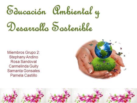 Educación Ambiental y Desarrollo Sostenible Miembros Grupo 2: Stephany Andino Rosa Sandoval Carmelinda Guity Samanta Gonsales Pamela Castillo.