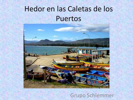 Hedor en las Caletas de los Puertos Grupo Schlemmer.
