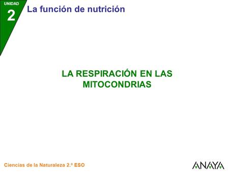 LA RESPIRACIÓN EN LAS MITOCONDRIAS