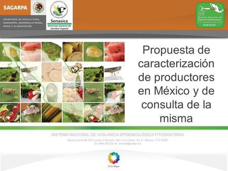 Propuesta de caracterización de productores en México y de consulta de la misma.