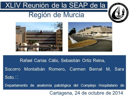 XLIV Reunión de la SEAP de la Región de Murcia
