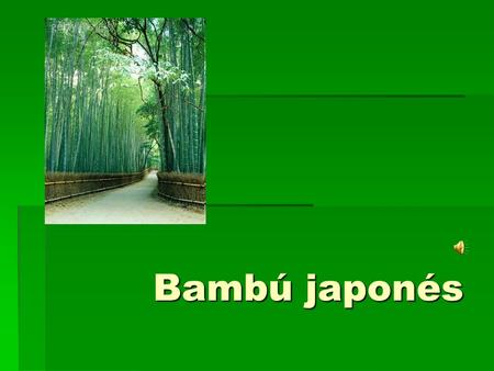 Bambú japonés.