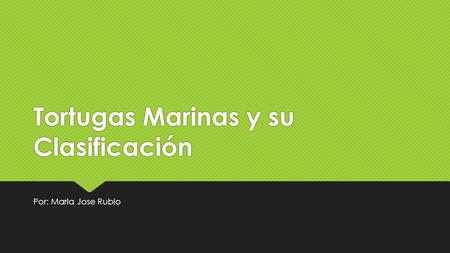 Tortugas Marinas y su Clasificación