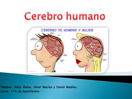 Cerebro humano Nombre: Aday Álamo, Omar Macías y Daniel Medina.