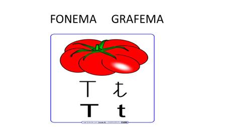 FONEMA GRAFEMA.