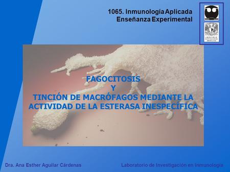 1065. Inmunología Aplicada Enseñanza Experimental