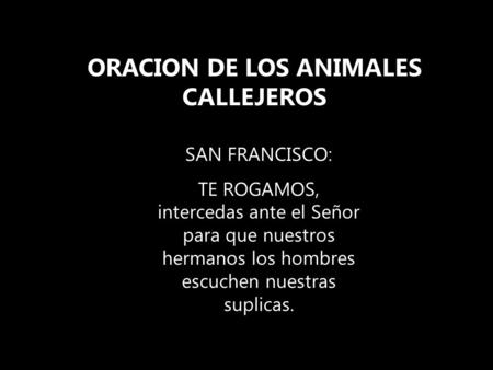 ORACION DE LOS ANIMALES CALLEJEROS SAN FRANCISCO: TE ROGAMOS, intercedas ante el Señor para que nuestros hermanos los hombres escuchen nuestras suplicas.