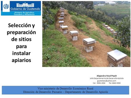 Selección y preparación de sitios para instalar apiarios