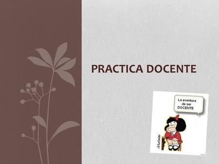 Practica Docente.