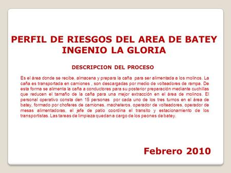 PERFIL DE RIESGOS DEL AREA DE BATEY DESCRIPCION DEL PROCESO