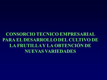 CONSORCIO TECNICO EMPRESARIAL PARA EL DESARROLLO DEL CULTIVO DE LA FRUTILLA Y LA OBTENCIÓN DE NUEVAS VARIEDADES.