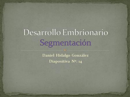 Desarrollo Embrionario Segmentación