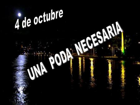 Sabemos que los dolores de la bebida tuvieron que venir antes que la sobriedad, y la confusión mental antes que la serenidad. DOCE PASOS Y DOCE TRADICIONES,