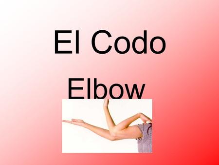 El Codo Elbow. El Dedo del Pie Toe La Uña Nail El Muslo Thigh.