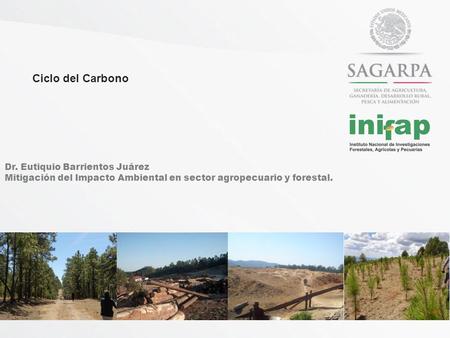 Ciclo del Carbono Dr. Eutiquio Barrientos Juárez