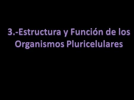 3.-Estructura y Función de los Organismos Pluricelulares