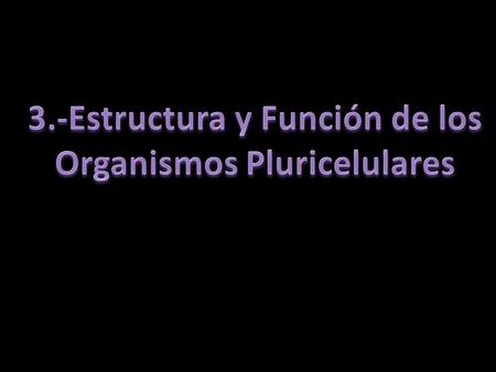 3.-Estructura y Función de los Organismos Pluricelulares