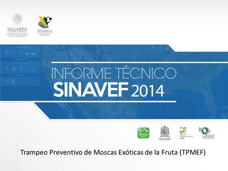 Trampeo Preventivo de Moscas Exóticas de la Fruta (TPMEF)