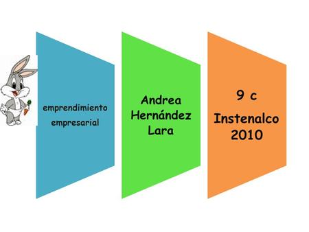 Emprendimiento empresarial Andrea Hernández Lara Instenalco 2010 9 c.