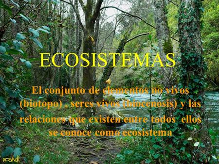 relaciones que existen entre todos ellos se conoce como ecosistema