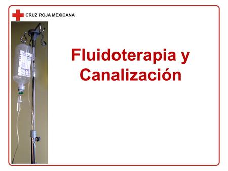 Fluidoterapia y Canalización