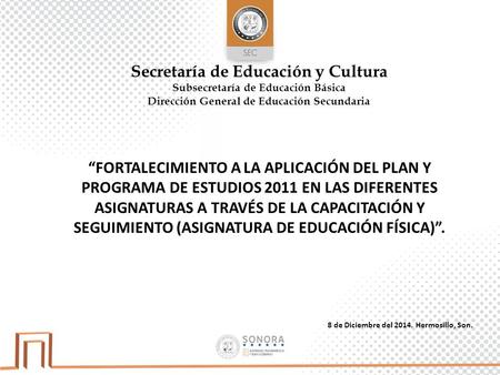 Secretaría de Educación y Cultura Subsecretaría de Educación Básica Dirección General de Educación Secundaria 8 de Diciembre del 2014. Hermosillo, Son.