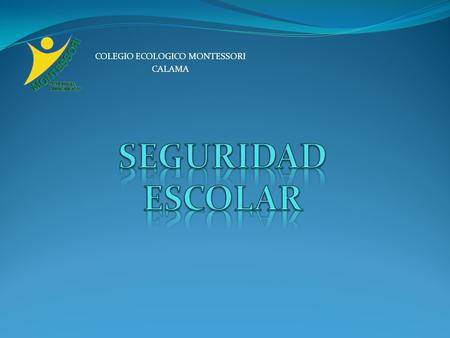 SEGURIDAD ESCOLAR.