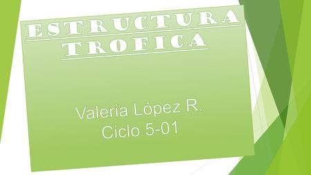 ESTRUCTURA TROFICA Valeria López R. Ciclo 5-01.