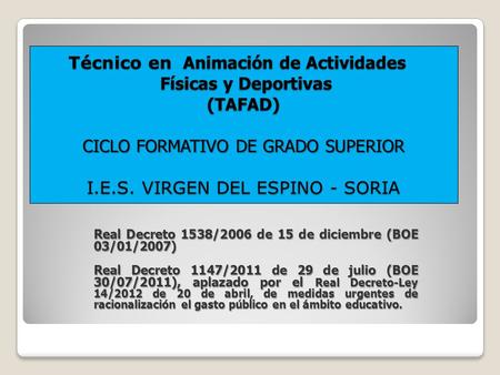 Técnico en Animación de Actividades