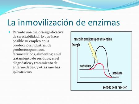 La inmovilización de enzimas
