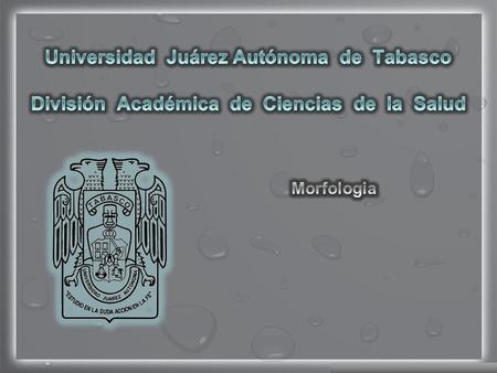 Universidad Juárez Autónoma de Tabasco División Académica de Ciencias de la Salud Morfologia.