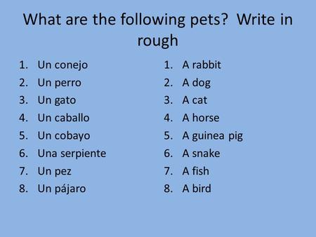 What are the following pets? Write in rough 1.Un conejo 2.Un perro 3.Un gato 4.Un caballo 5.Un cobayo 6.Una serpiente 7.Un pez 8.Un pájaro 1.A rabbit 2.A.