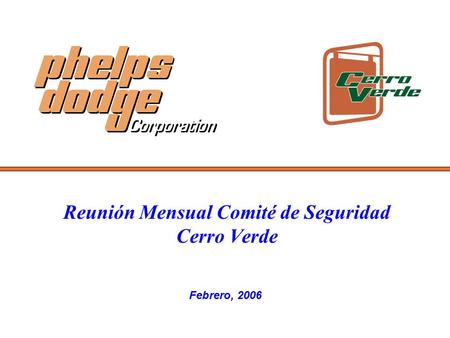 Reunión Mensual Comité de Seguridad Cerro Verde Febrero, 2006.