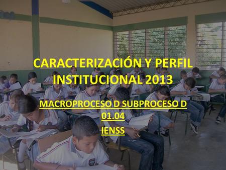 CARACTERIZACIÓN Y PERFIL INSTITUCIONAL 2013 MACROPROCESO D SUBPROCESO D 01.04 IENSS.