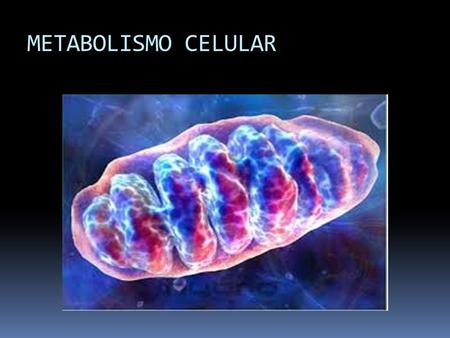 METABOLISMO CELULAR. Durante el metabolismo la materia y la energía se transforman en el interior de las células, para generar energía y mantener las.