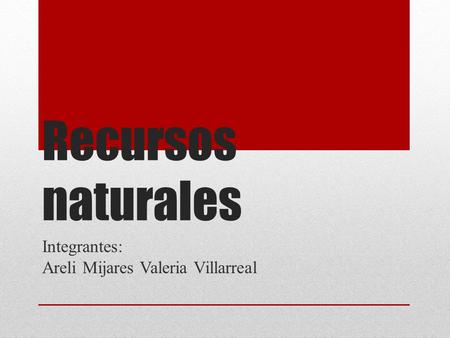 Integrantes: Areli Mijares Valeria Villarreal