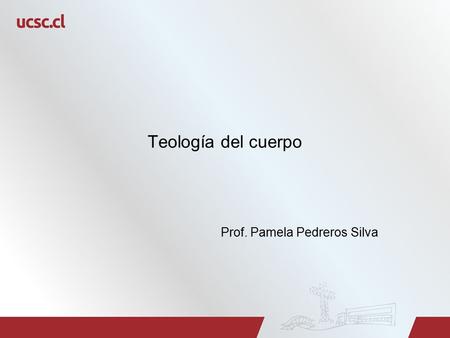 Prof. Pamela Pedreros Silva
