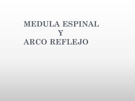 MEDULA ESPINAL Y ARCO REFLEJO